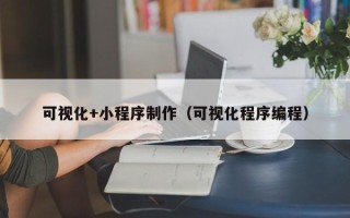 邵东可视化+小程序制作（可视化程序编程）